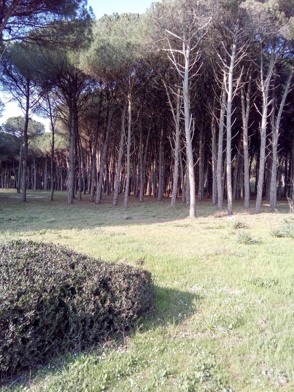 Hotel Grazia Eboli Bagian luar foto